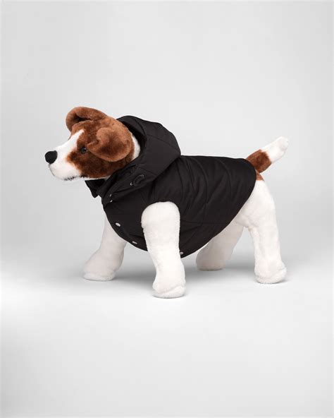 prada puppy jacket|prada dog coat accessories.